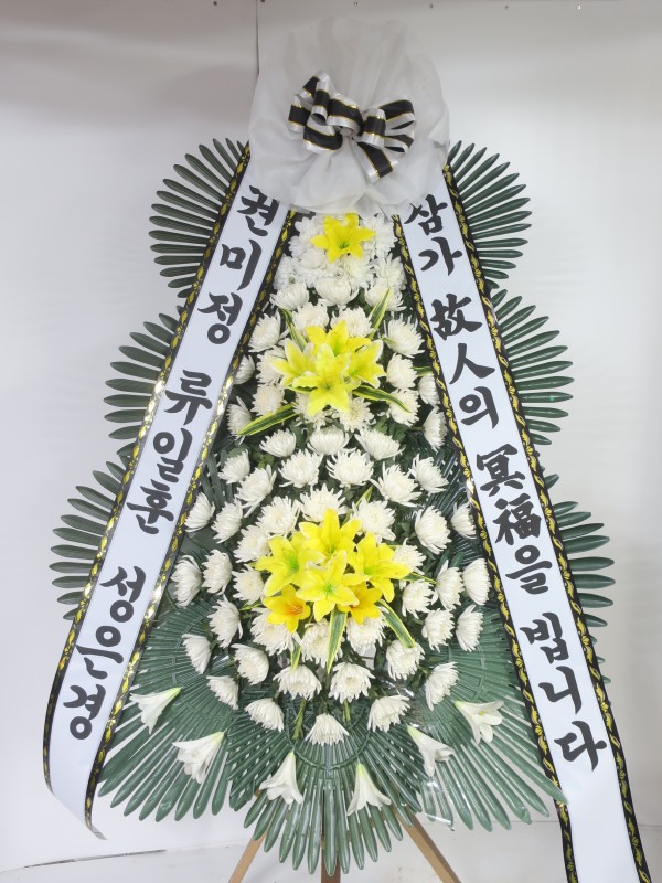 업로드 이미지