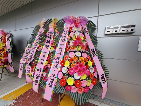 업로드 이미지
