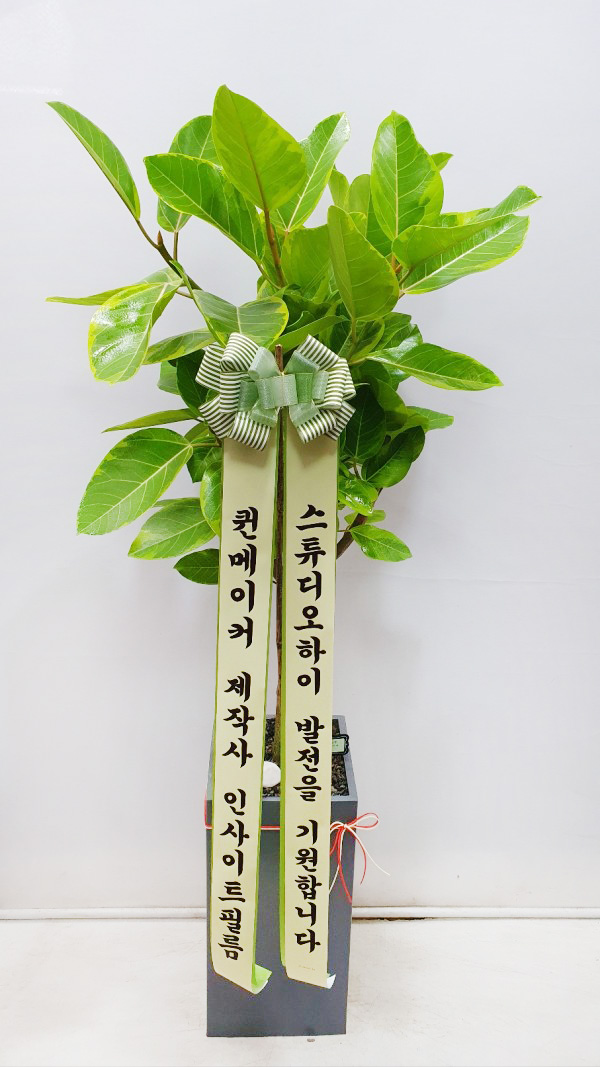 업로드 이미지