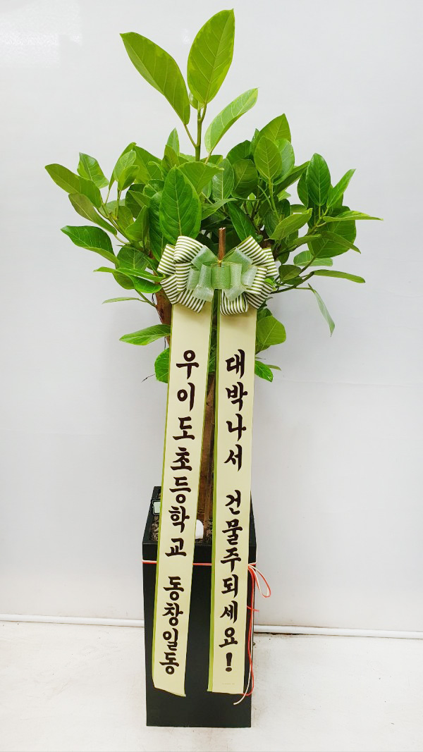 업로드 이미지
