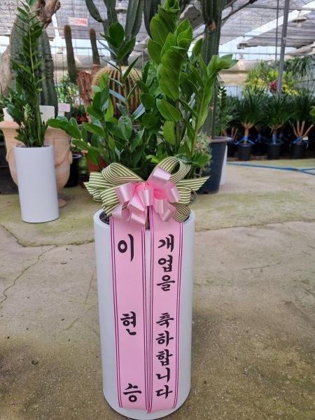 업로드 이미지