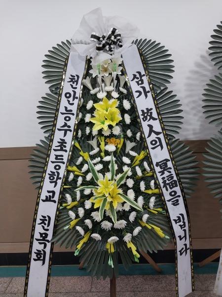 업로드 이미지