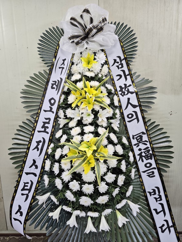 업로드 이미지