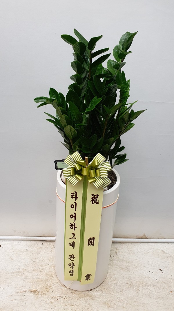 업로드 이미지
