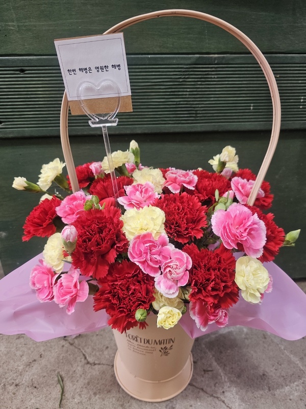 업로드 이미지