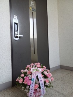 배송사진