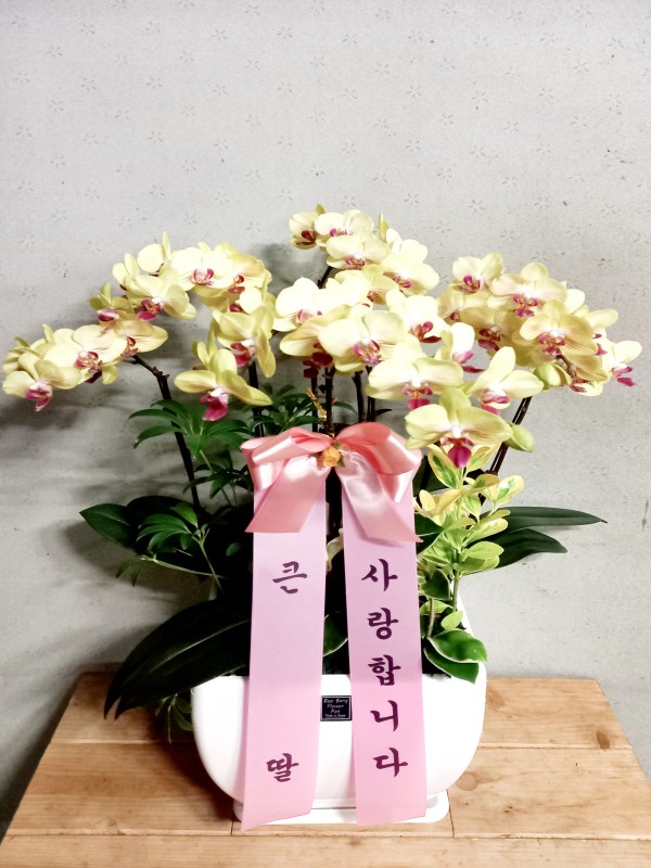 업로드 이미지