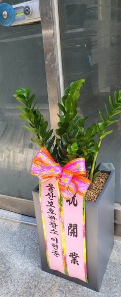 배송사진