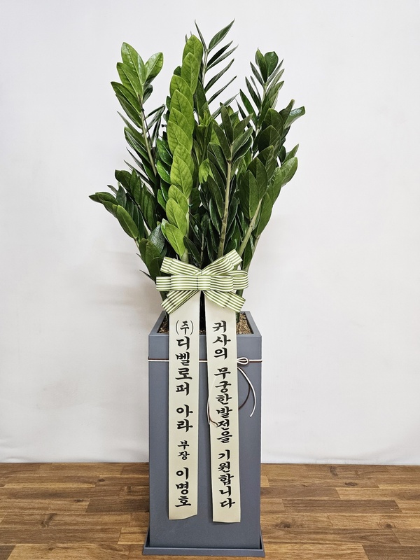 업로드 이미지
