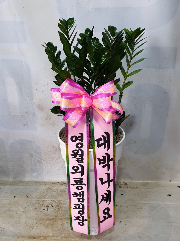업로드 이미지