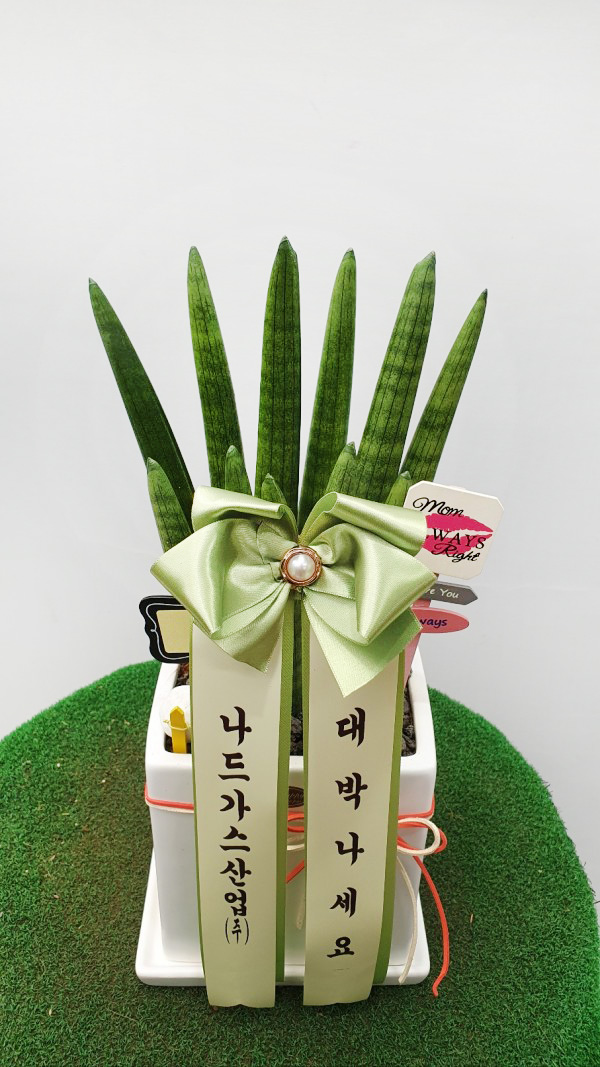 업로드 이미지