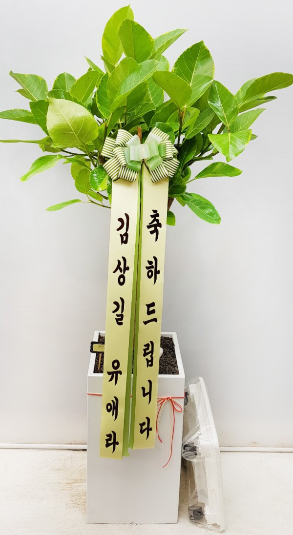 업로드 이미지