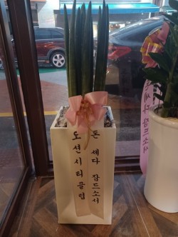 배송사진