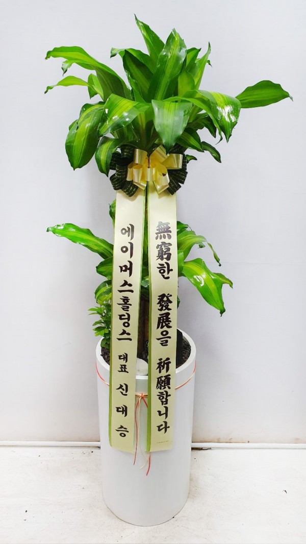 업로드 이미지