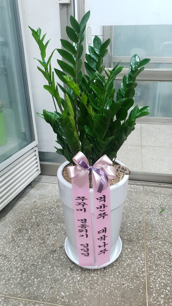 업로드 이미지
