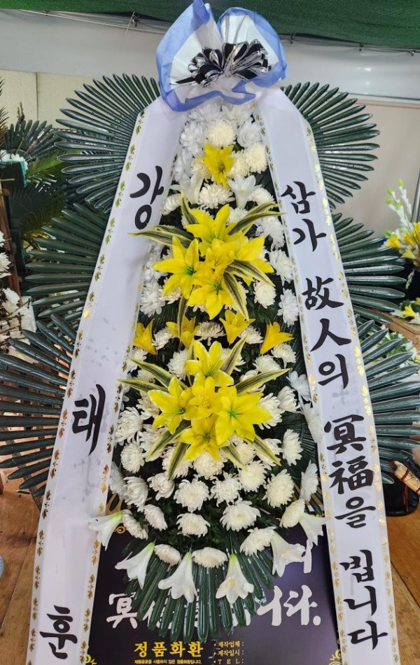 업로드 이미지