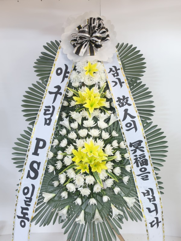 업로드 이미지