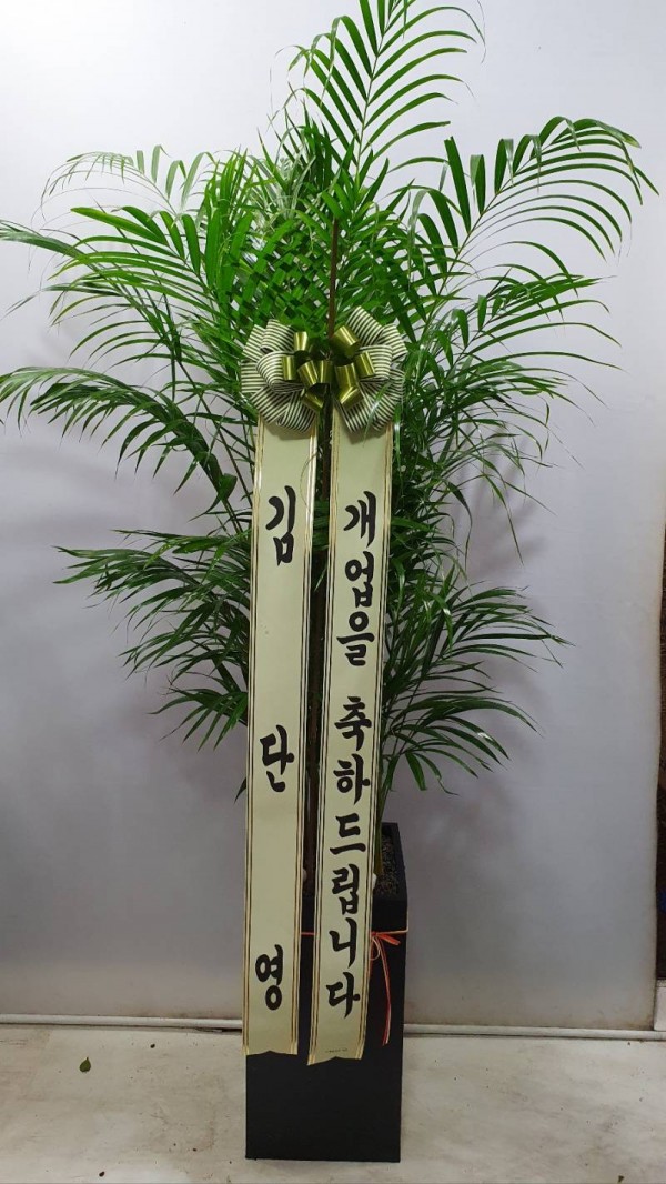 업로드 이미지