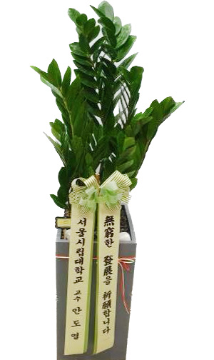 업로드 이미지