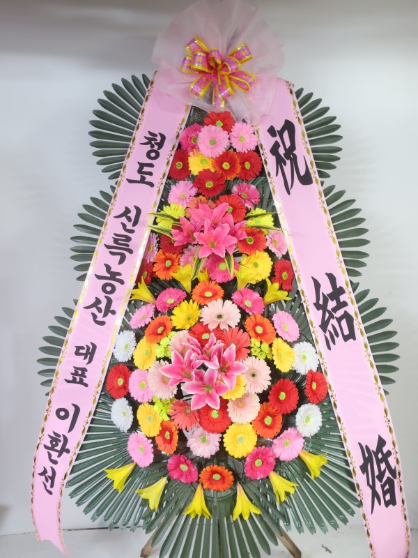 업로드 이미지