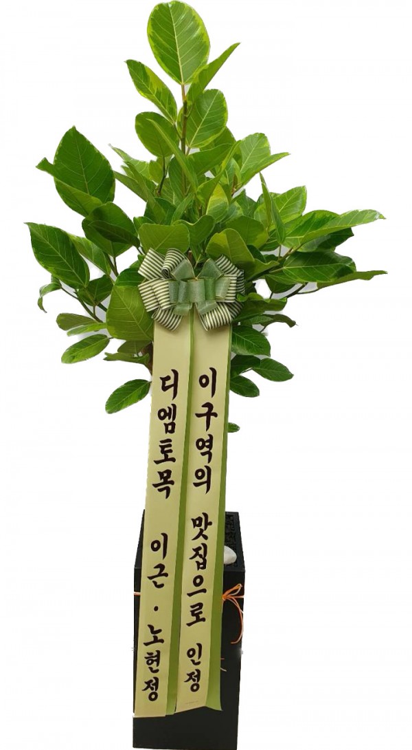 업로드 이미지