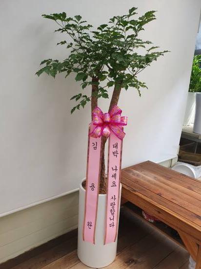 업로드 이미지