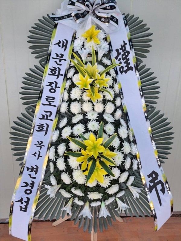 업로드 이미지