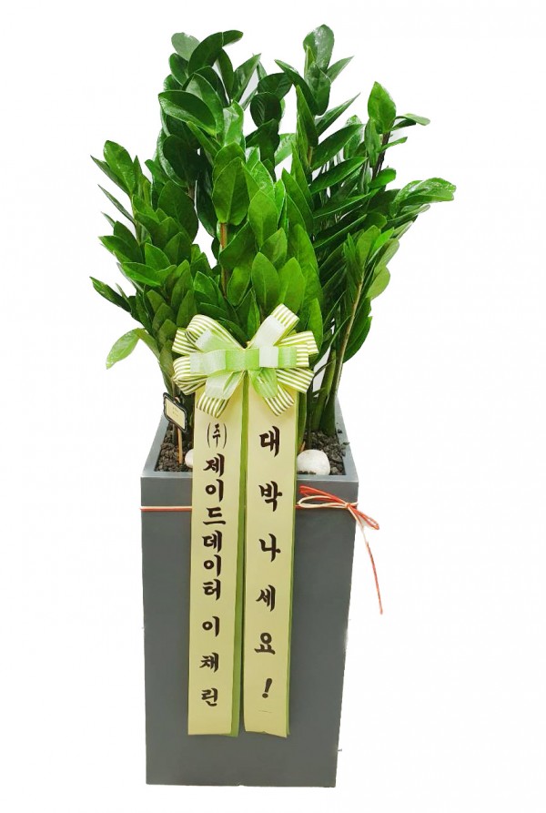 업로드 이미지