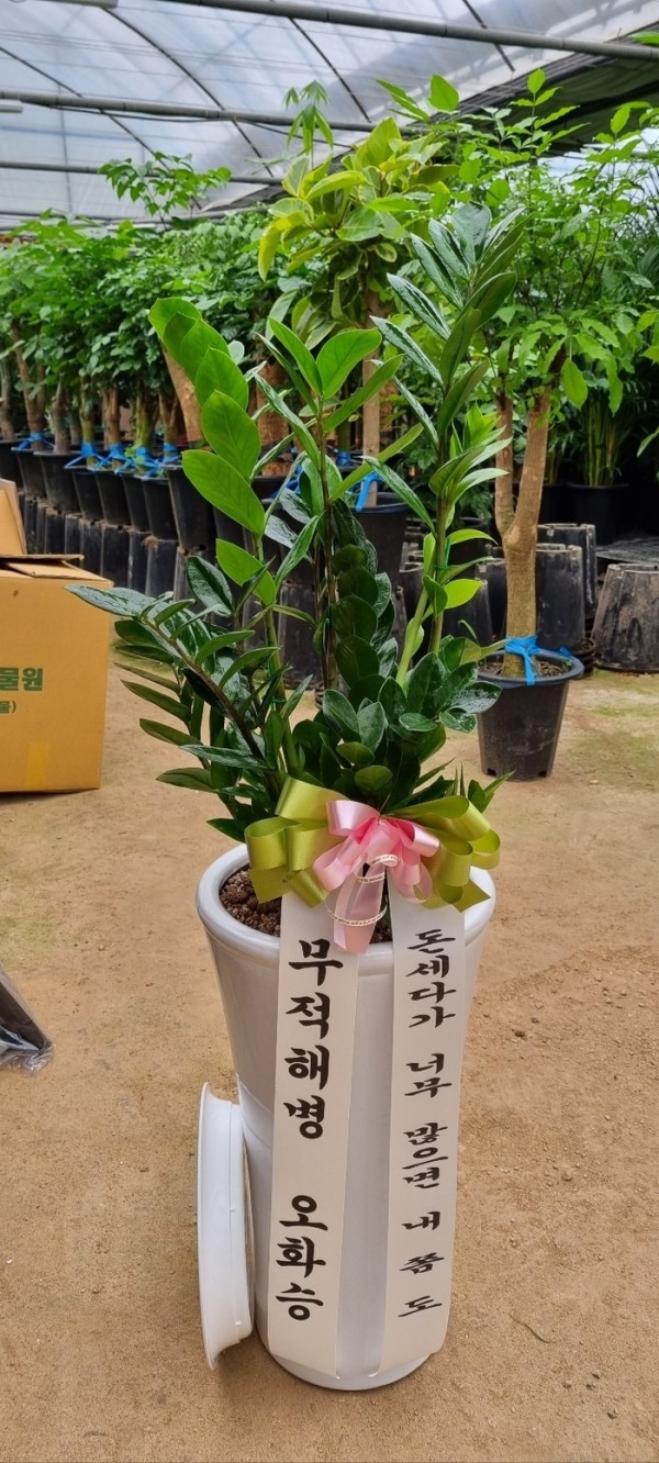 업로드 이미지