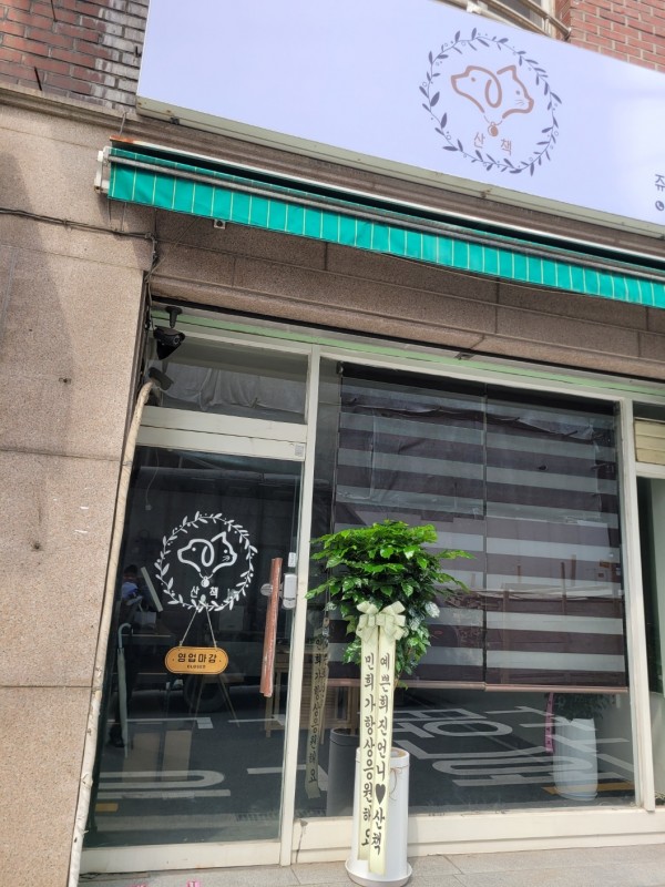 업로드 이미지