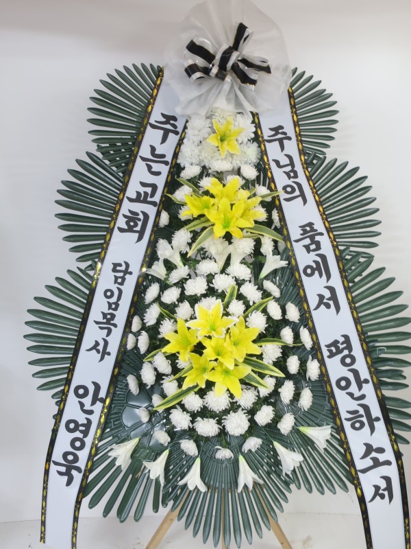 업로드 이미지