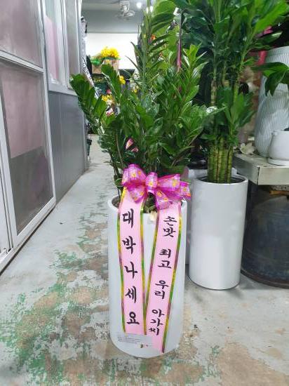 업로드 이미지