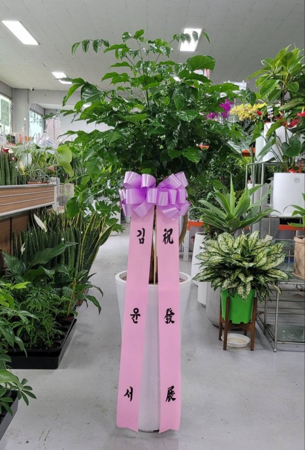 업로드 이미지