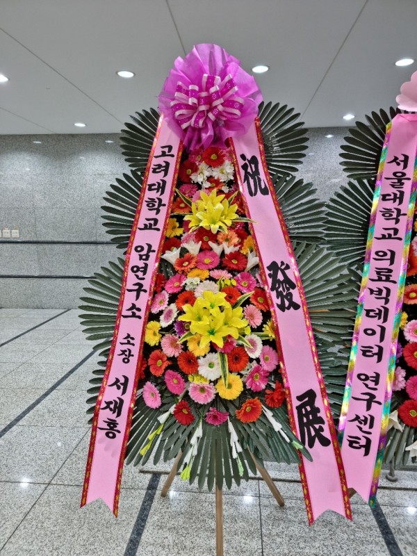 업로드 이미지