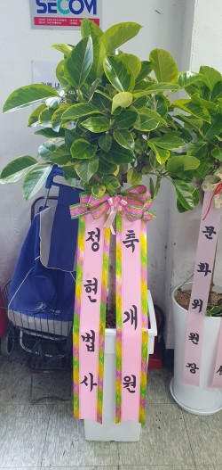 배송사진