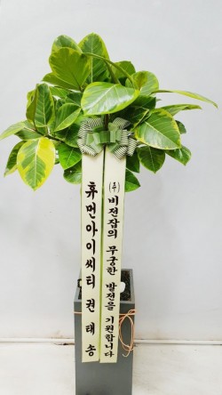 배송사진