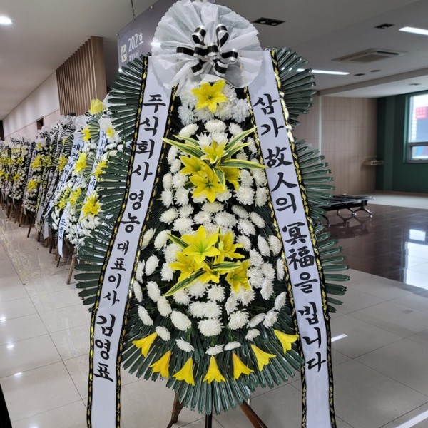 업로드 이미지
