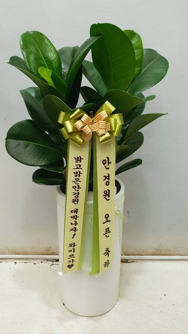 업로드 이미지