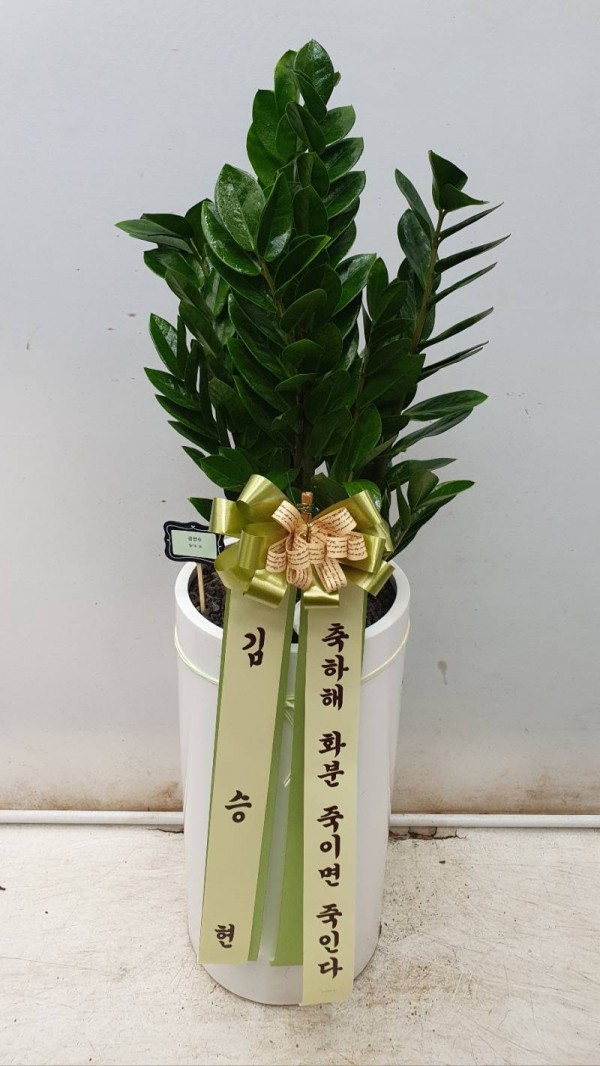 업로드 이미지