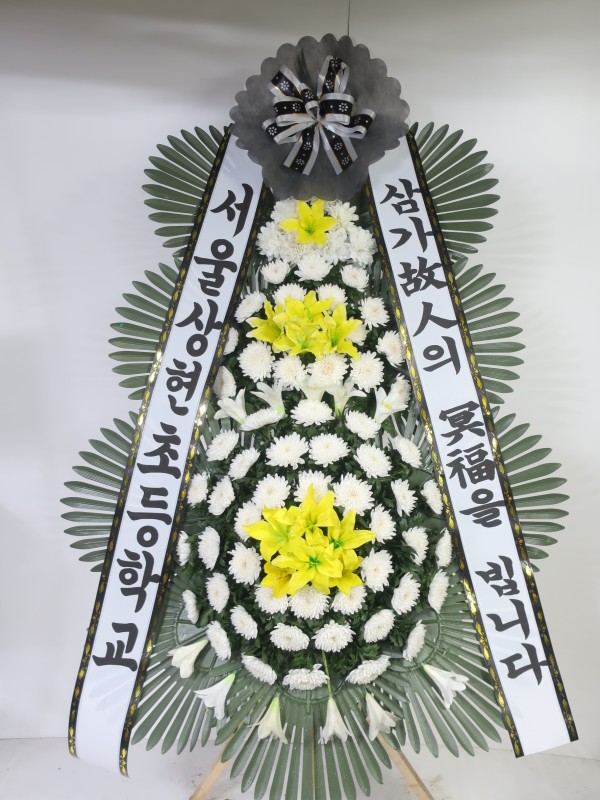 업로드 이미지