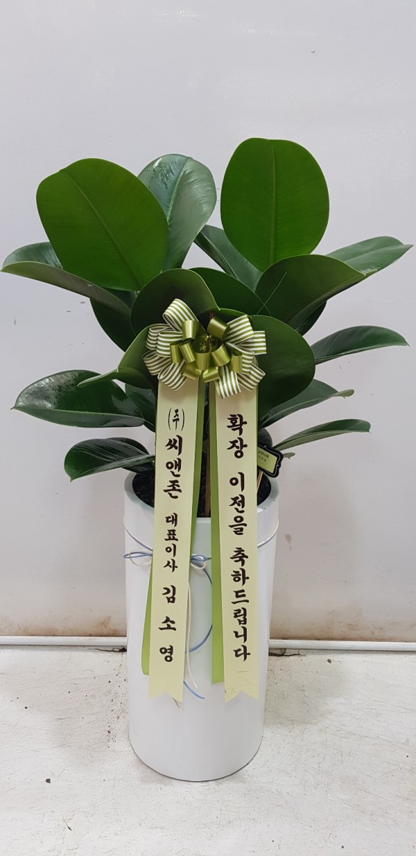 업로드 이미지