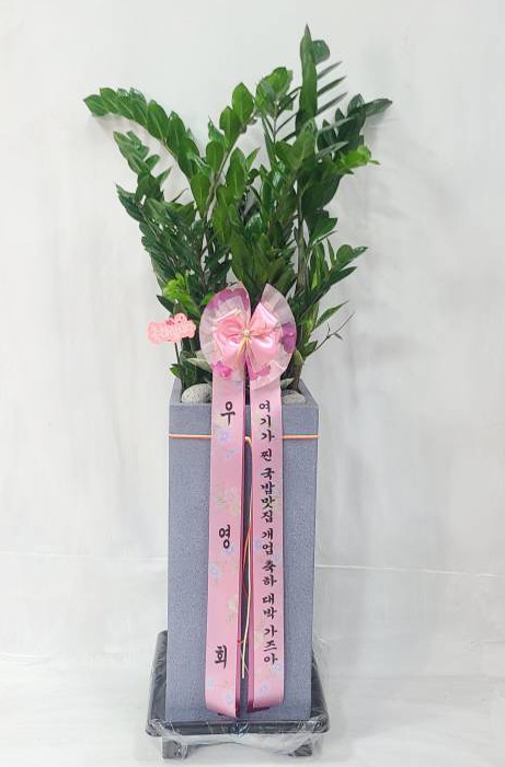 업로드 이미지
