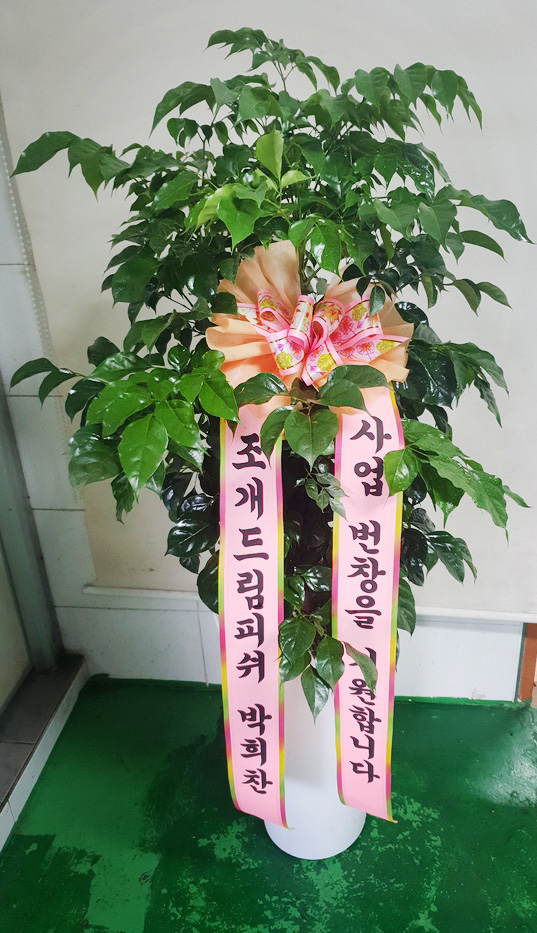 업로드 이미지