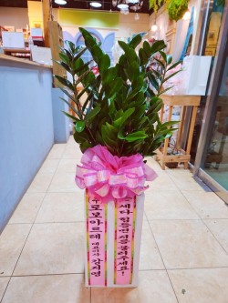 배송사진