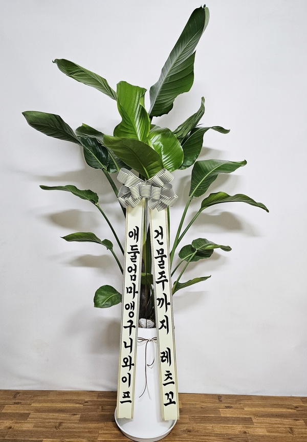 업로드 이미지