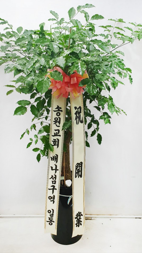 업로드 이미지