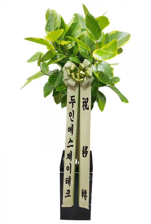 업로드 이미지