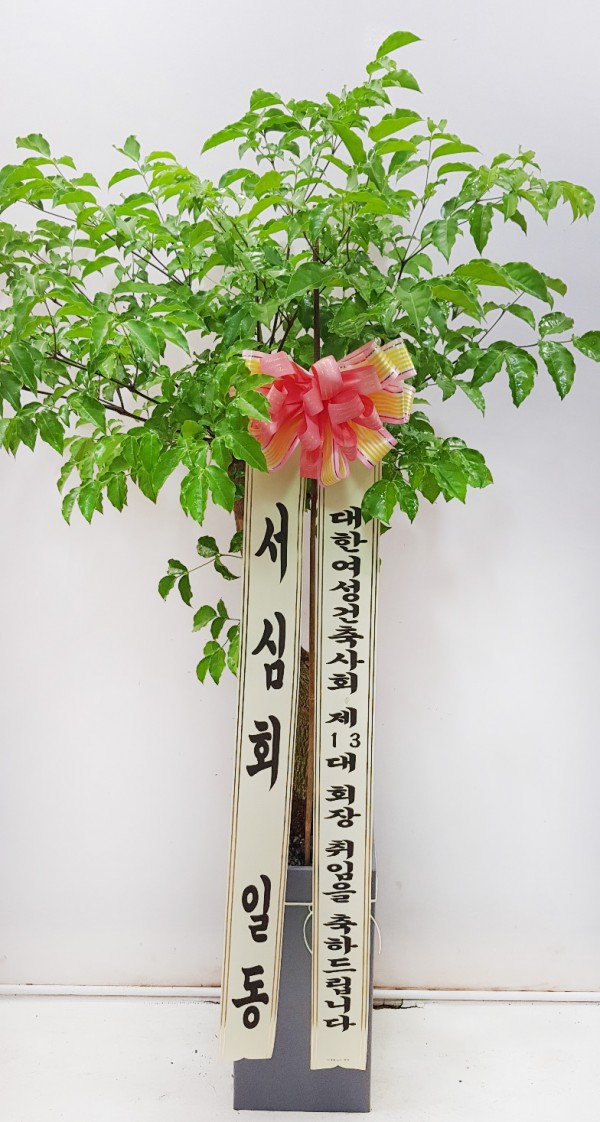 업로드 이미지