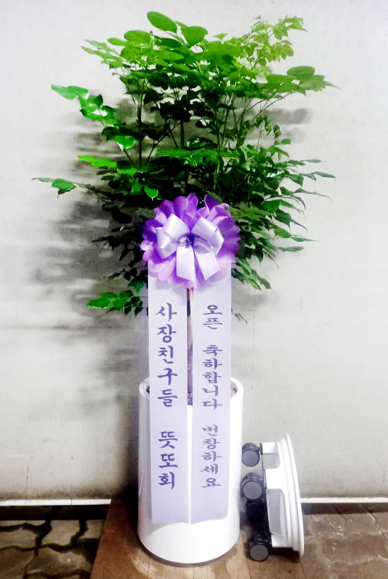 업로드 이미지