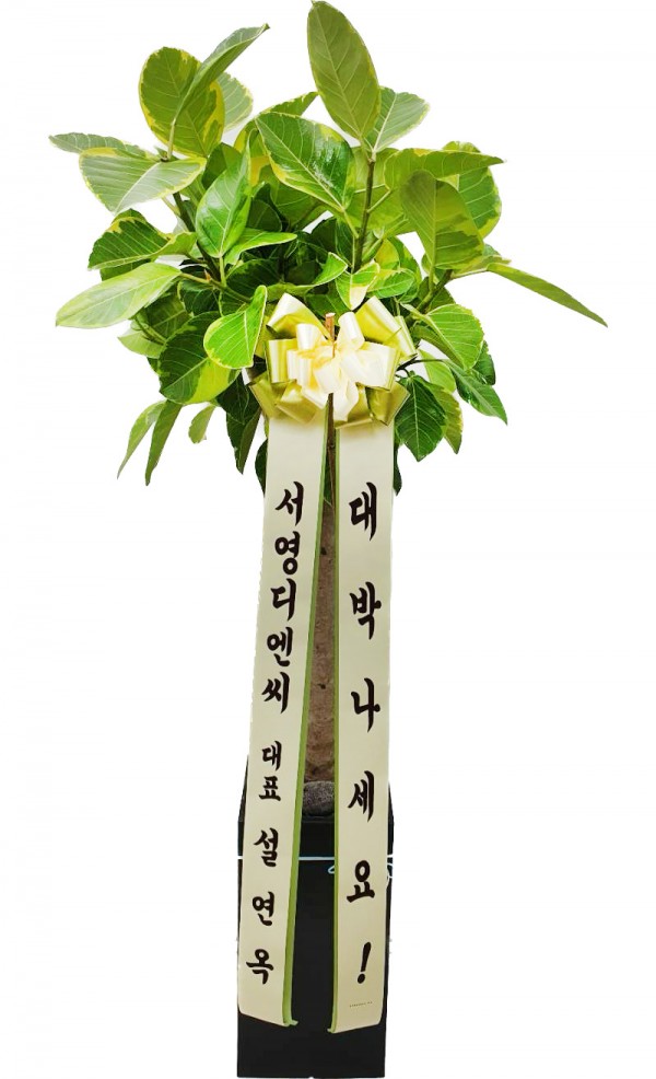 업로드 이미지